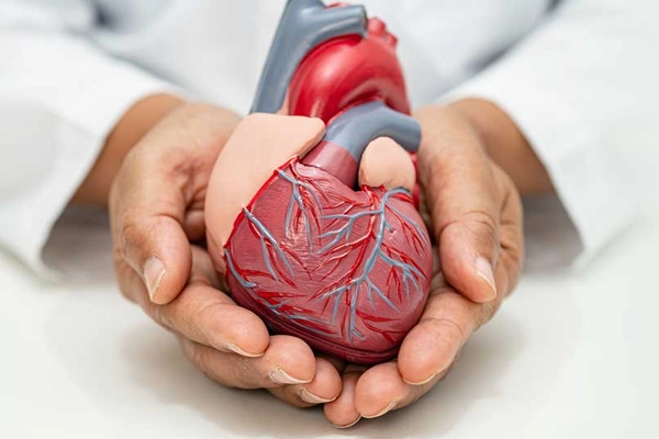 VIMS Hospital in Salem delivers trusted cardiac care with angioplasty, valve surgery, & 24x7 treatment